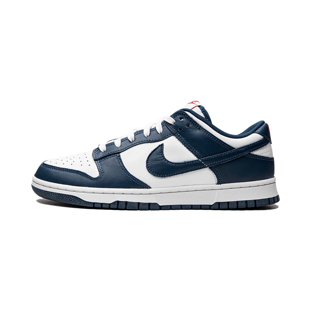 Nike Dunk Low Valerian Blue